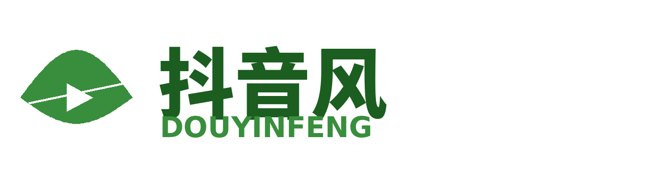 抖音风